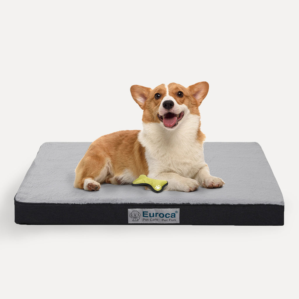 Medium orthoepic dog bed