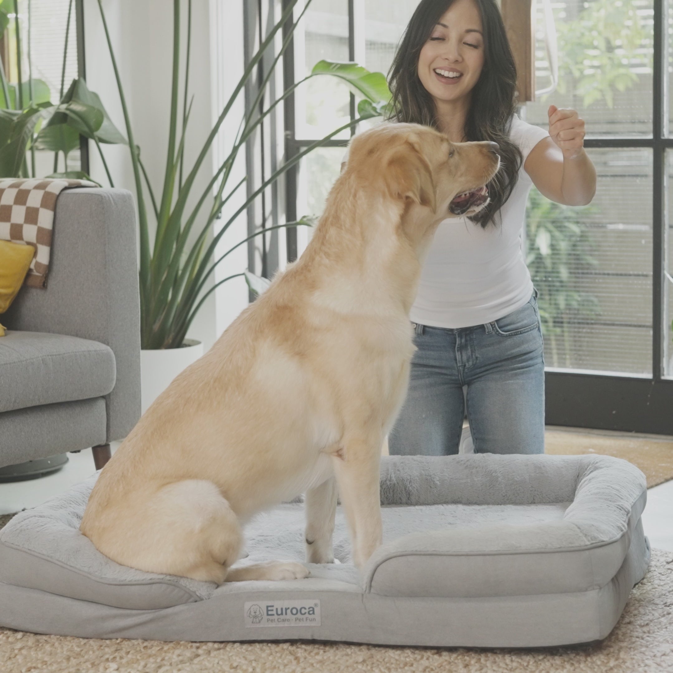 Euroca Orthopedic Dog Bed, Waterproof, Foam Sofa with Removable